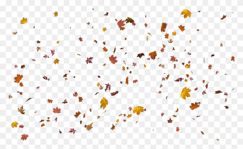 1491x870 Background Leaves For Photoshop, Confetti, Paper HD PNG Download