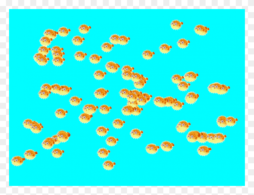 1024x768 Background Scene Puffer Fishies, Petal, Flower, Plant HD PNG Download