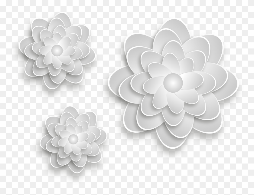 1250x936 Backgroundfor Flower With Shadow, Dahlia, Plant, Blossom HD PNG Download