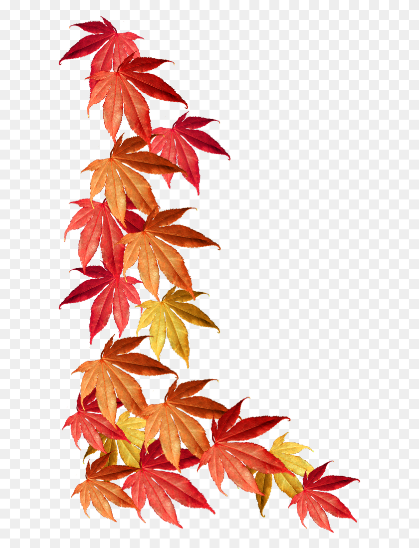 607x1039 Backgrounds Fall Leaves Border Template Fall Leaves Border, Leaf, Plant, Tree HD PNG Download