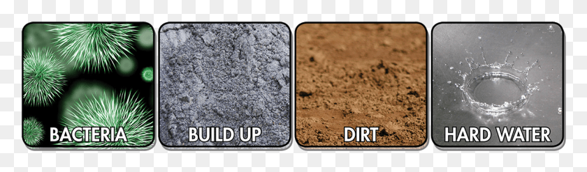 1128x271 Bacteria 2 Concrete, Soil, Collage, Poster HD PNG Download