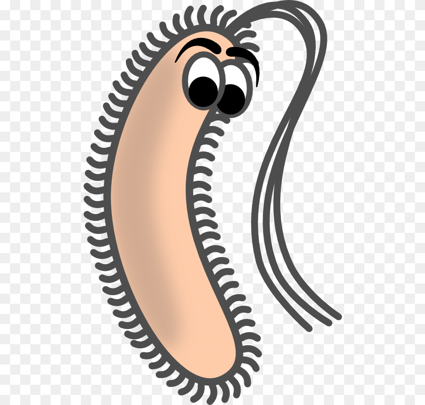 Bacteria Clipart, Person Transparent PNG