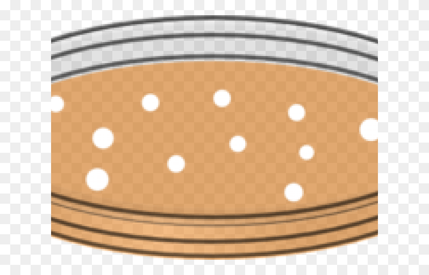 640x480 Bacteria Clipart Agar Plate Circle, Food, Plant, Texture HD PNG Download