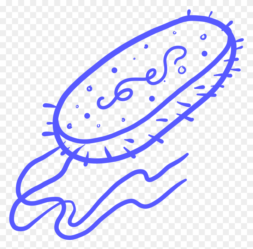 1182x1162 Бактерии Одноклеточный Организм Прозрачный, Этикетка, Текст, Логотип Hd Png Скачать