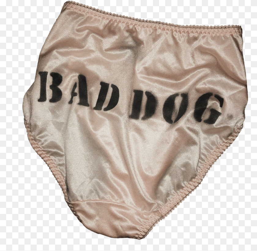 955x933 Baddogla Underwear, Clothing, Diaper, Lingerie, Panties Sticker PNG