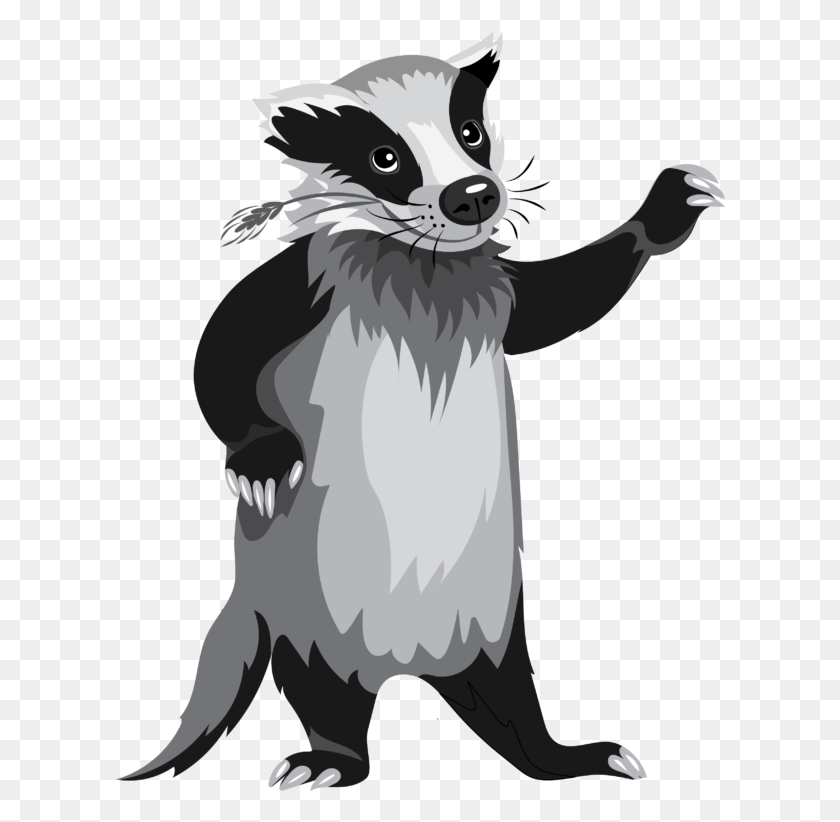 611x762 Badger Cartoon, Animal, Bird, Raccoon HD PNG Download