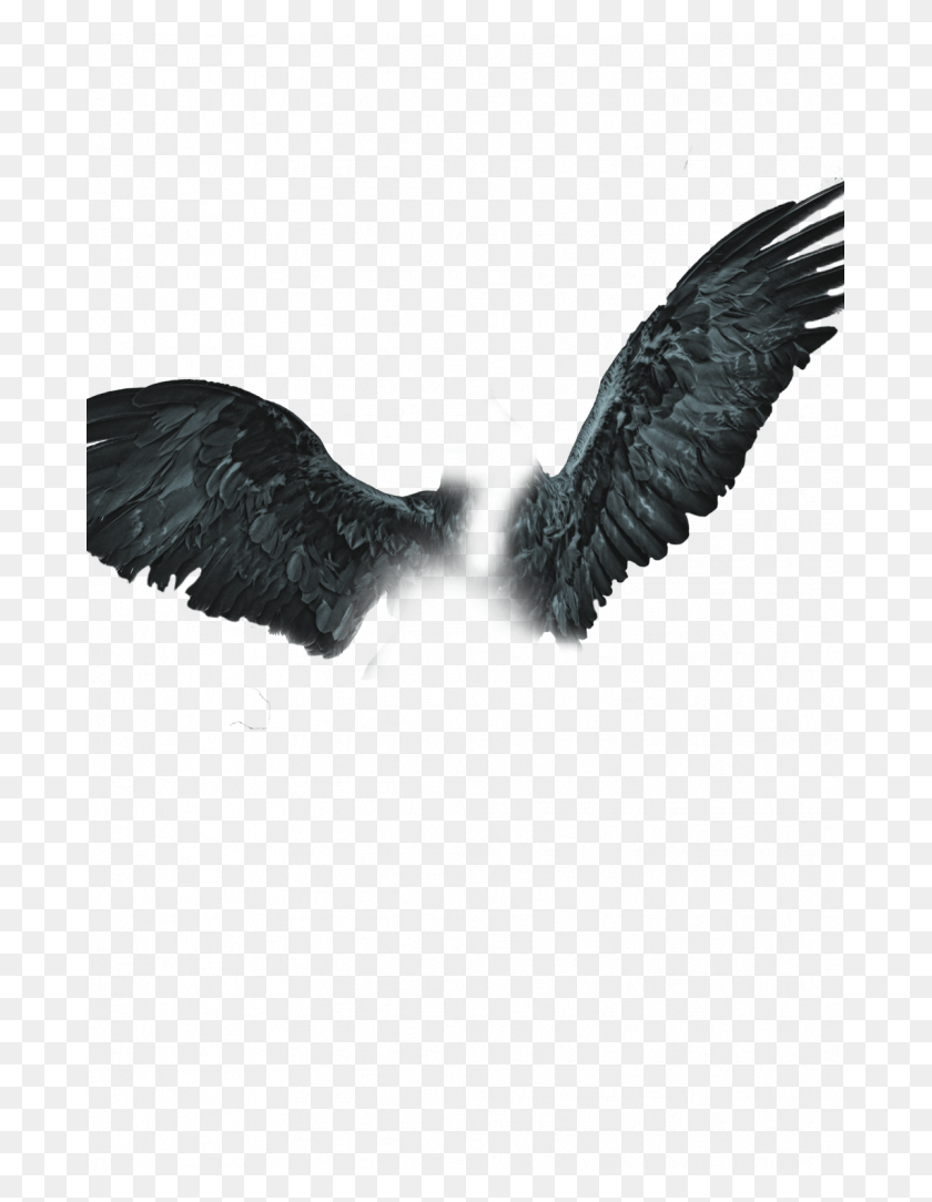 683x1024 Badland Magic Fly Pngs Wingman Editing Background Cb Edit Wings, Bird, Animal, Eagle HD PNG Download