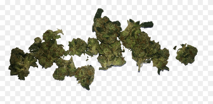 2864x1289 Bag Of Weed Transparent Weed Bud, Plant, Land, Outdoors HD PNG Download
