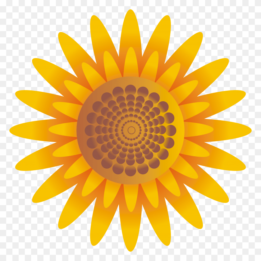 3850x3850 Descargar Png Bagi Anda Yang Membutuhkan Bunga Matahari Tanpa Corazón Ojos Sol Emoji, Planta, Patrón, Flor Hd Png