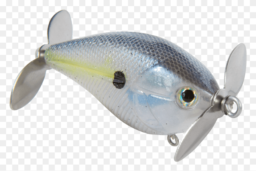 1196x769 Bait Fish, Animal, Sea Life, Fishing Lure HD PNG Download