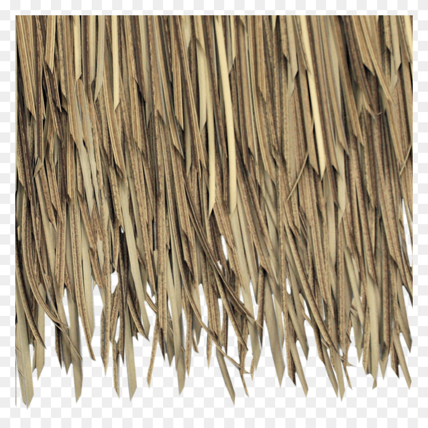 800x800 Baja Palm Artificial Thatch Close Up Straw Roof Texture, Wood, Plywood, Driftwood HD PNG Download