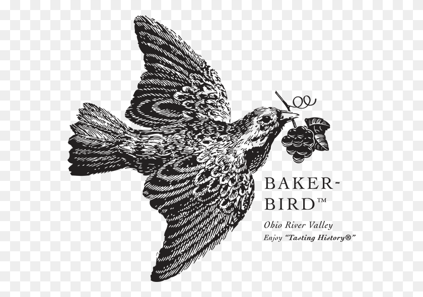 573x531 Baker Bird Logo Baker Bird Winery Logo, Symbol, Animal, Leaf HD PNG Download
