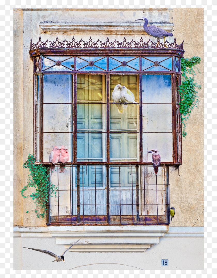 738x1017 Balcon Web Sash Window, Home Decor, Bird, Animal HD PNG Download