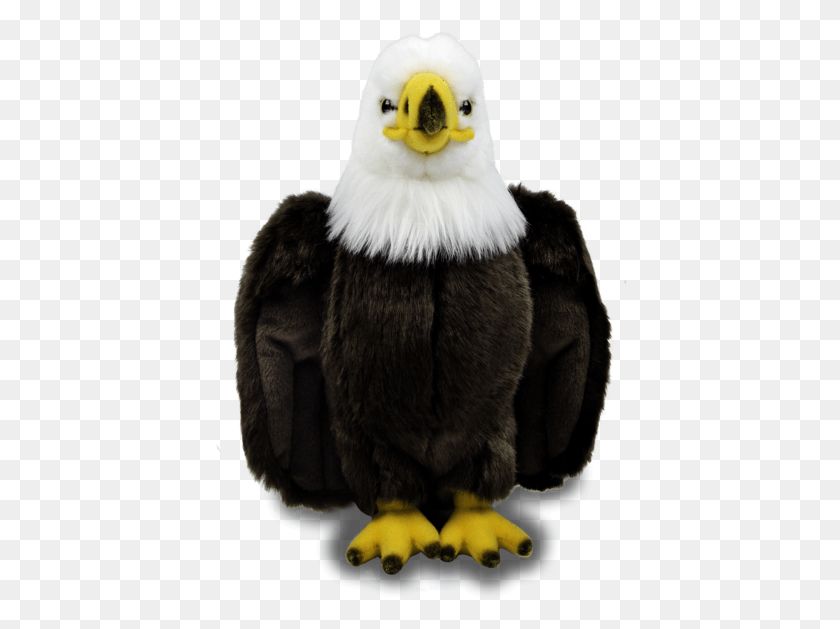 415x569 Bald Eagle, Eagle, Bird, Animal HD PNG Download