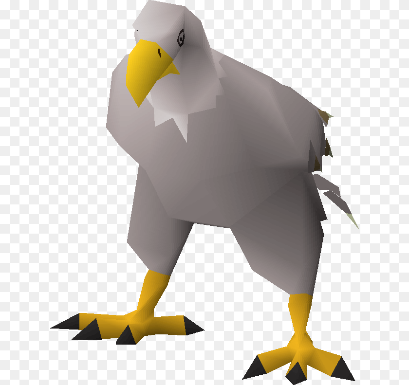 Bald Eagle, Animal, Beak, Bird, Vulture Sticker PNG