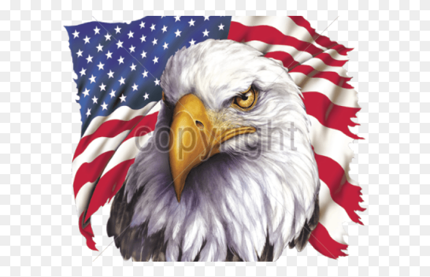 597x481 Png Белоголовый Орлан Патриотические Изображения Американского Орла, Флаг, Символ, Птица Png Скачать