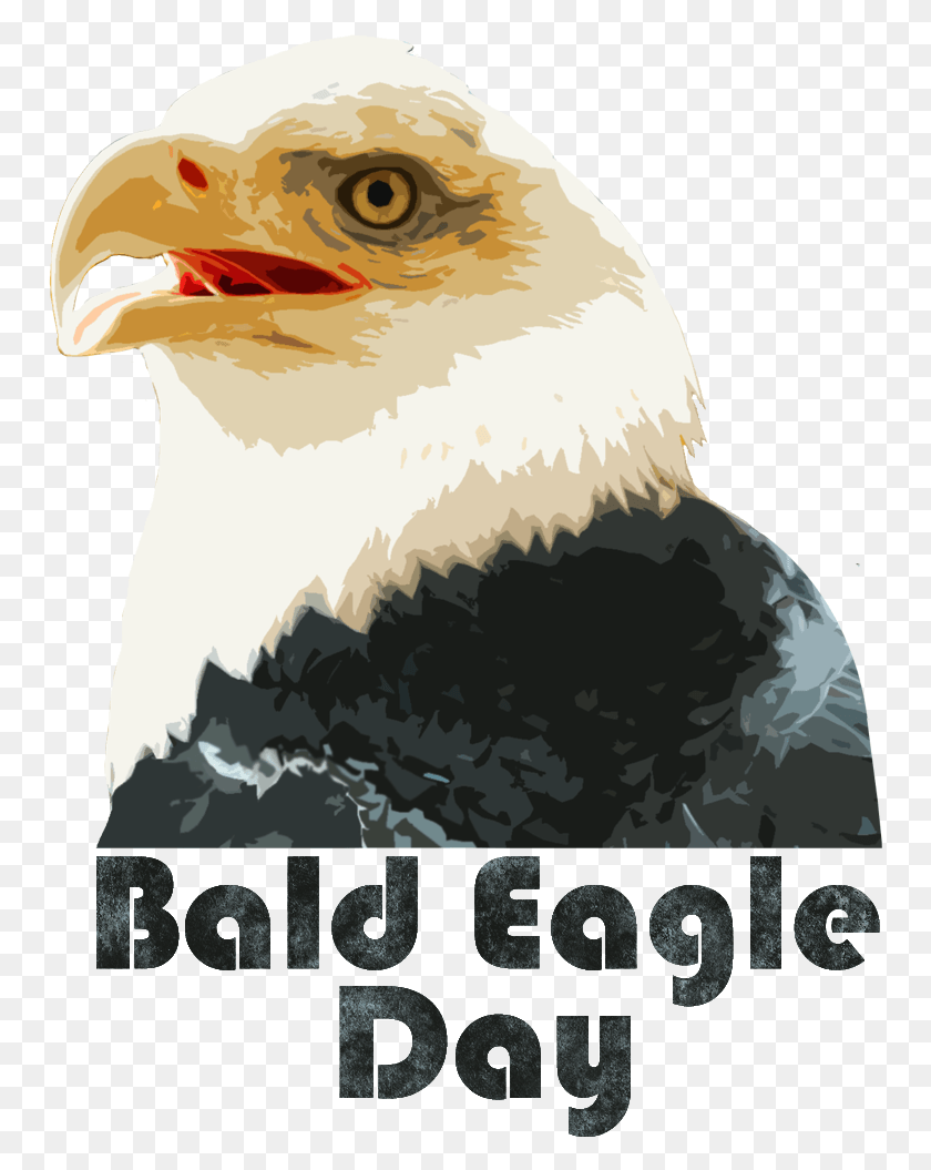 753x995 Bald Eagle Day Logo Bald Eagle, Eagle, Bird, Animal HD PNG Download