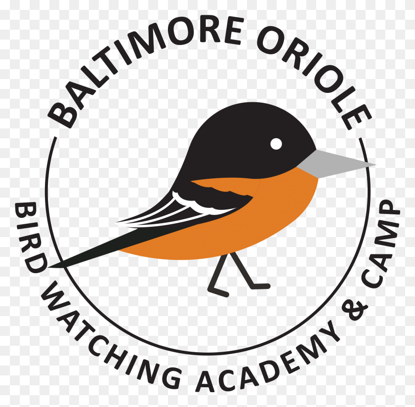 2021x1982 Baltimore Oriole Oil Amp Gas Uk, Poster, Advertisement, Logo HD PNG Download