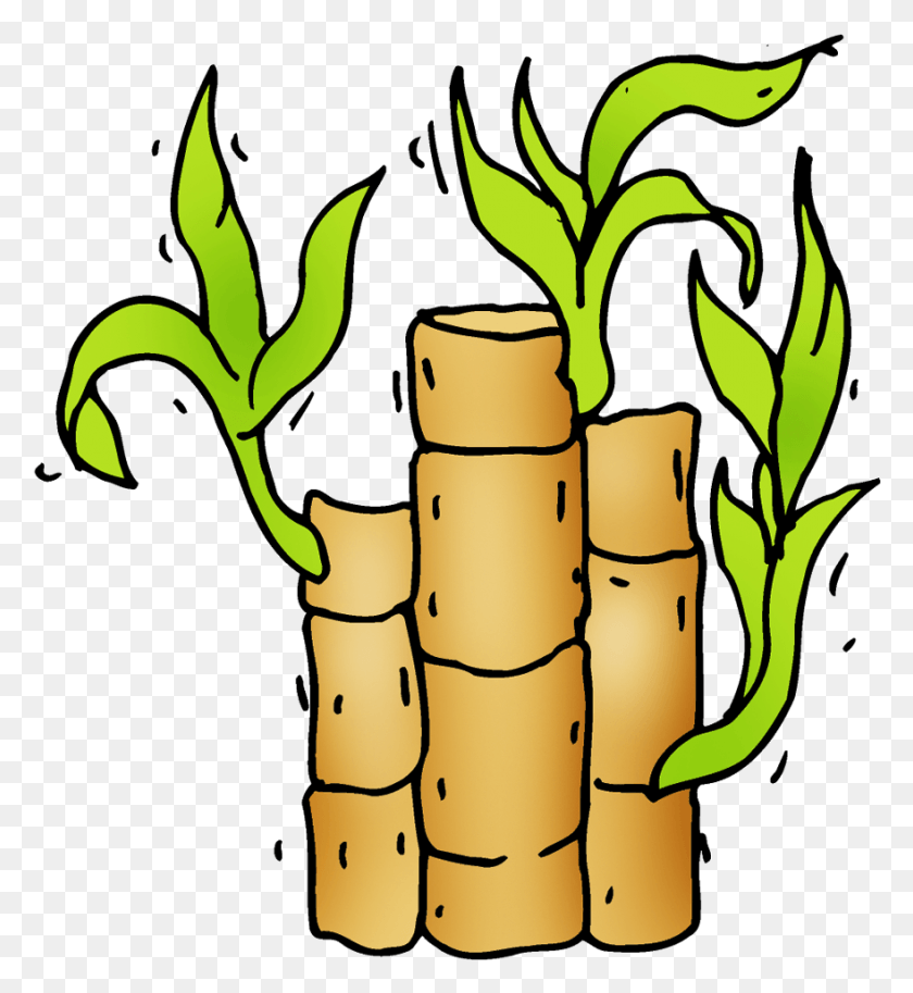 880x963 Bamboo, Plant HD PNG Download