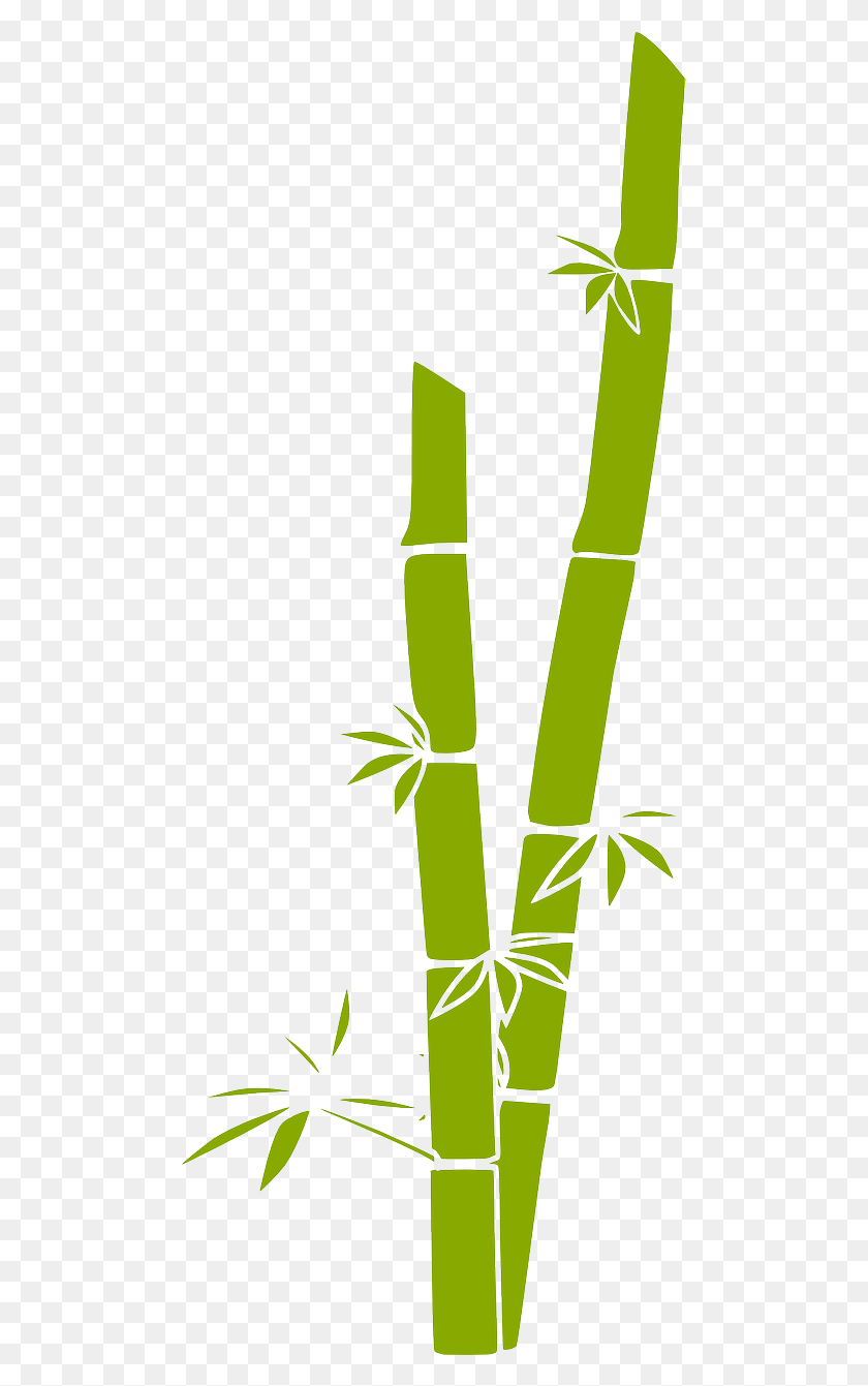 493x1281 Bamboo Clip Art, Plant HD PNG Download