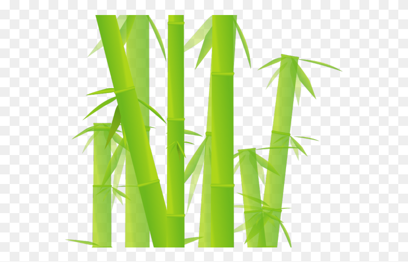 575x481 Bamboo Clipart Transparent Background Transparent Background Bamboo Clipart, Plant, Grass HD PNG Download