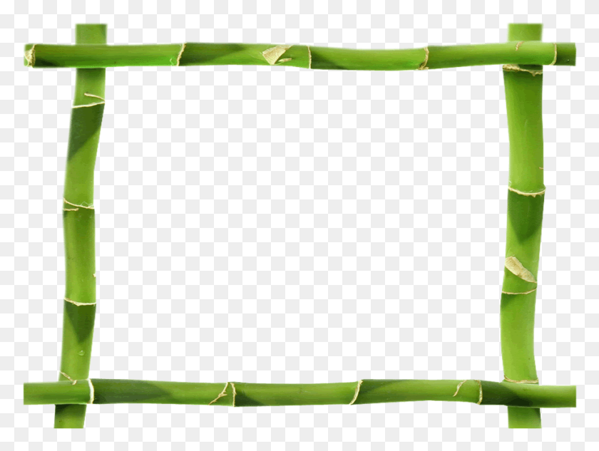 912x670 Bamboo Frame Bamboo Frame, Plant, Bamboo Shoot, Vegetable HD PNG Download