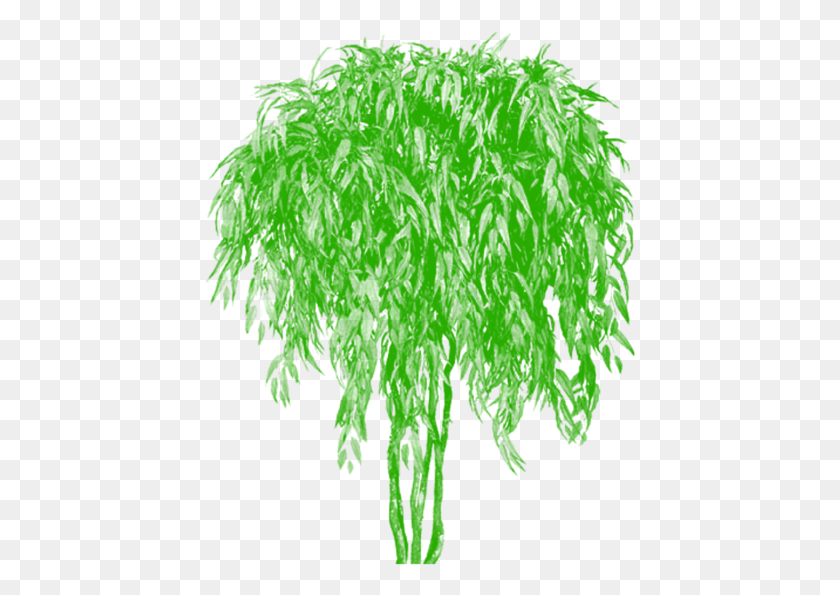 435x535 Бамбук Зеленые Растения И Деревья, Узор, Орнамент, Фрактал Png Скачать