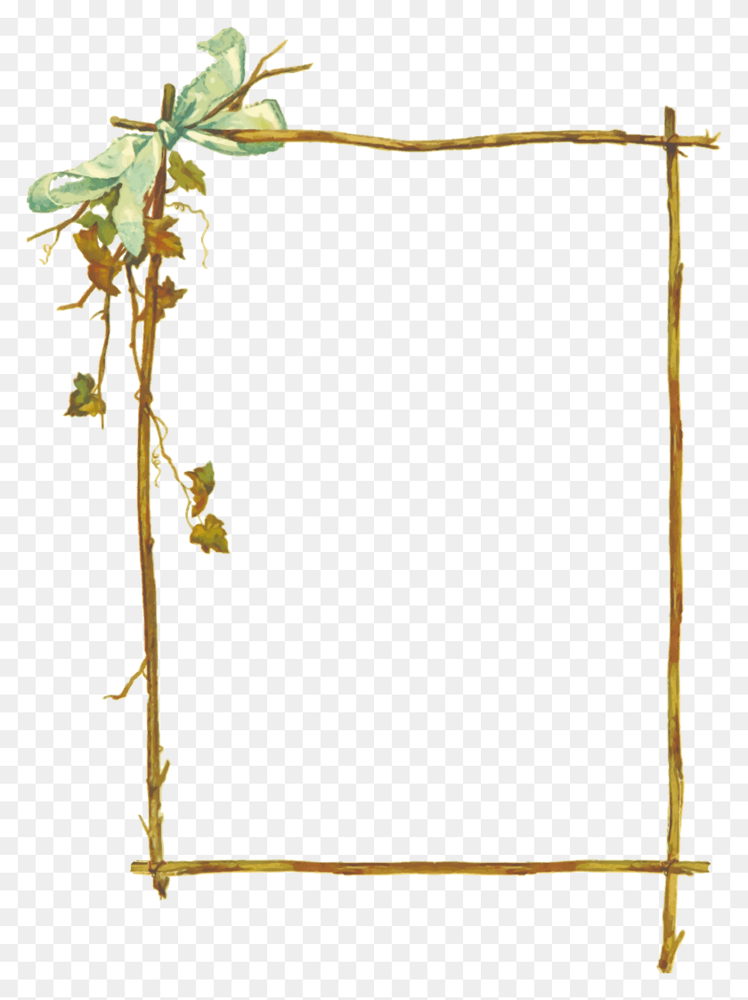 1760x2400 Bamboo Image Twig Border Clip Art, Plant, Flower, Blossom HD PNG Download