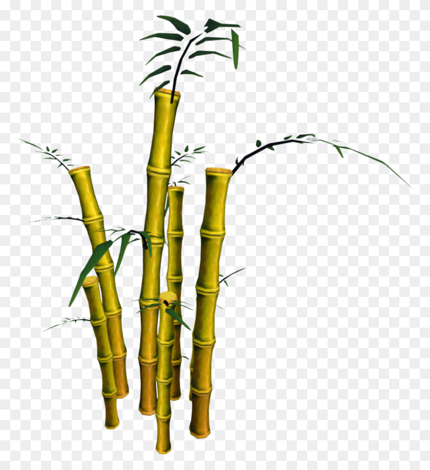800x881 Bamboo Image With Transparent Background Bamboo, Plant, Bow HD PNG Download