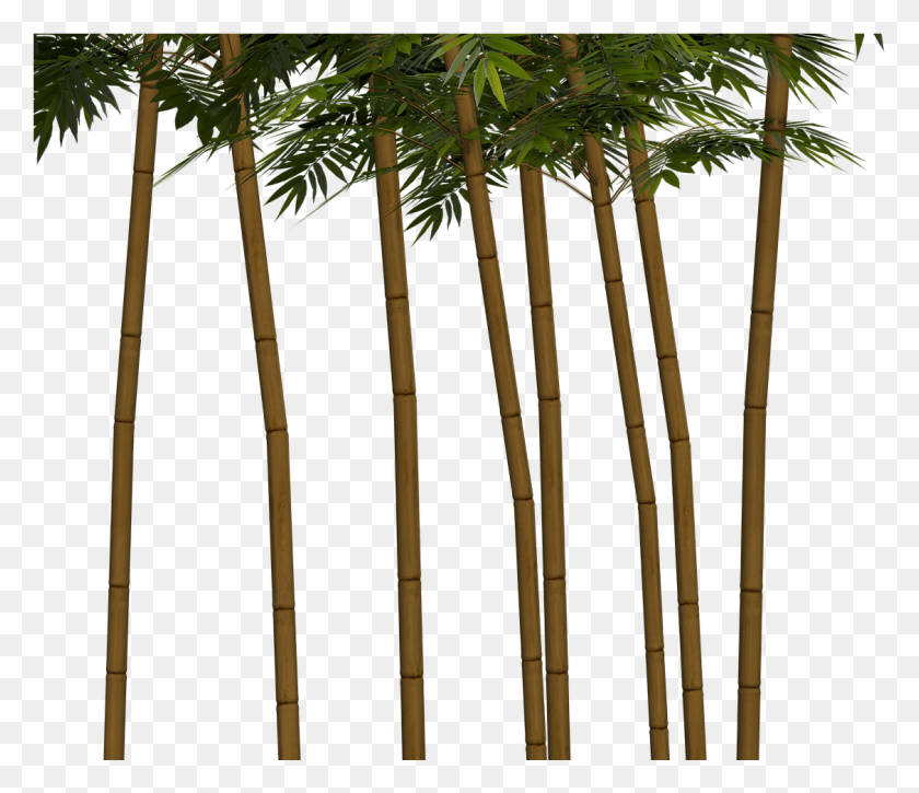 1127x961 Bamboo Plant Wellness Digital Art Isolated Bambu Kuning, Tree, Vegetation, Palm Tree Descargar Hd Png