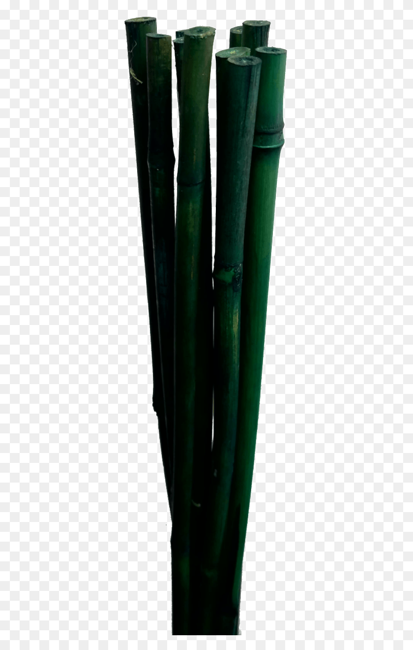 431x1260 Бамбуковая Палочка Ваза, Растение, Цветок, Цветение Hd Png Скачать