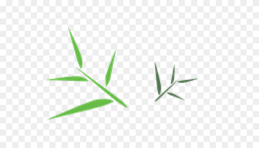 Bamboo Images PNG