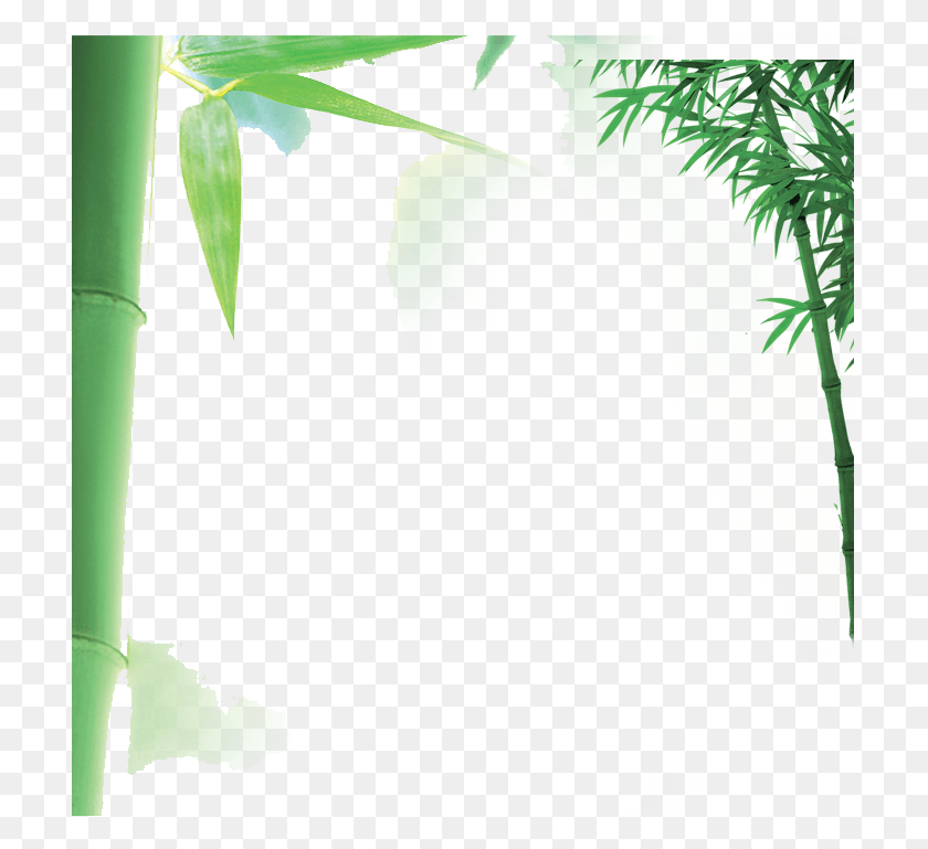709x709 Бамбук Вектор Бордюр Зеленые Бамбуковые Бордюры, Растение Hd Png Скачать