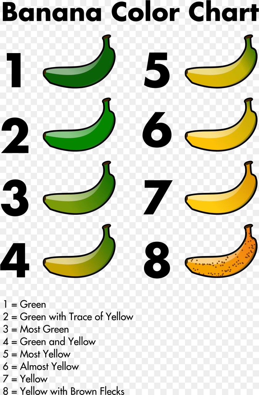 Banana Color Chart Clip Arts, Food, Fruit, Plant, Produce Transparent PNG