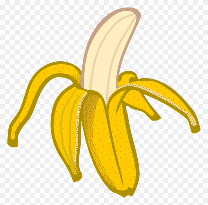 1280x1261 Banana Educación Fruta Gambar Vektor Pisang, Planta, Alimentos Hd Png