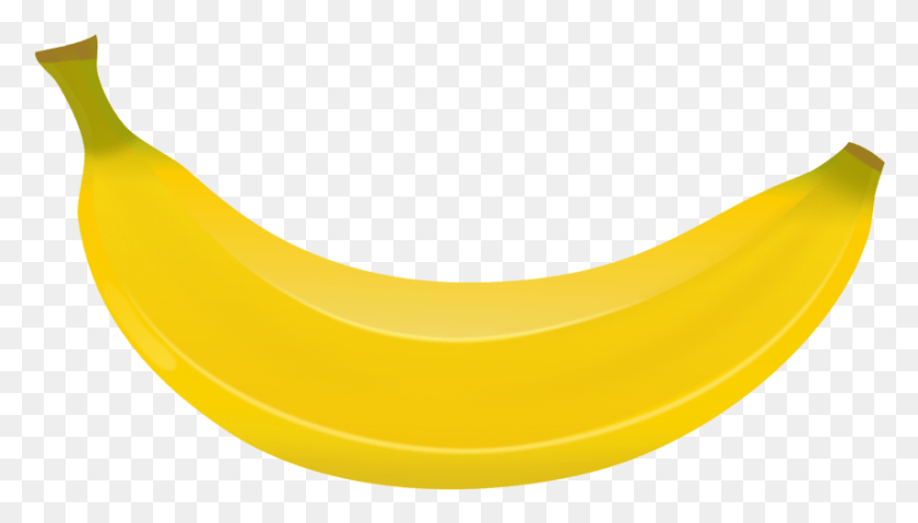 857x461 Ilustración De Plátano, Fruta, Planta, Alimentos Hd Png
