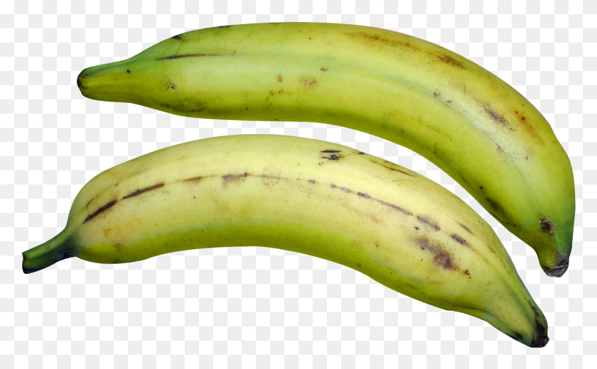 1627x960 Banana Image Purepng Image Of Plantain, Fruit, Plant, Food HD PNG Download