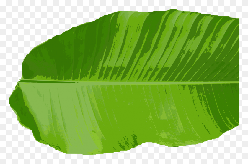 1176x750 Лист Банана, Растение, Зеленый, Прожилки Hd Png Скачать