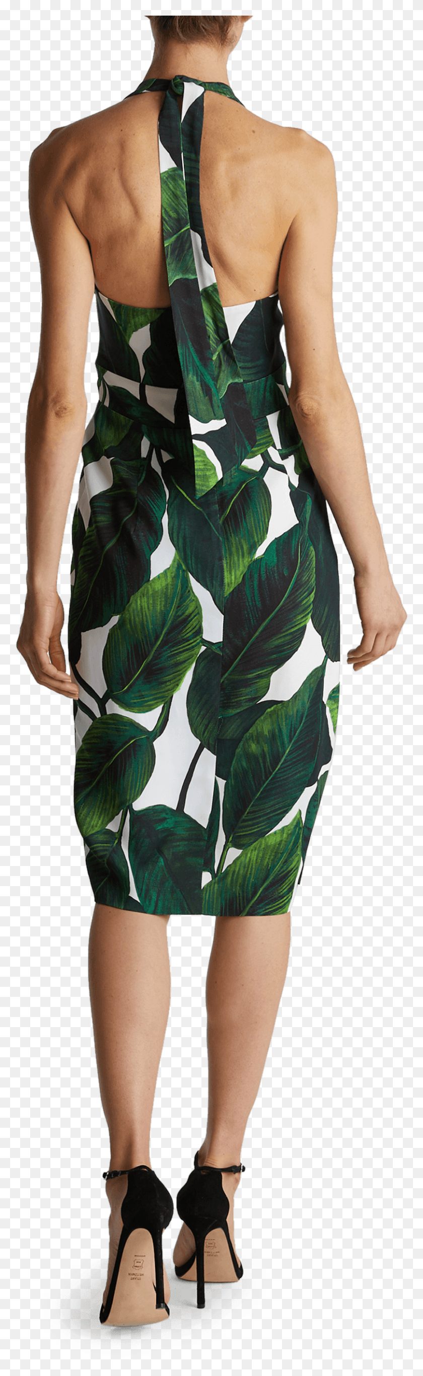 808x2769 Descargar Banana Leaf Print Vanessa Dress Milly Day Dress, Planta, Persona, Humano Hd Png