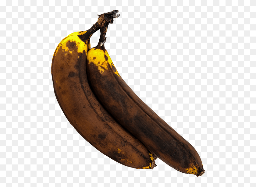 511x554 Banana Saba Banana, Plant, Fruit, Food HD PNG Download