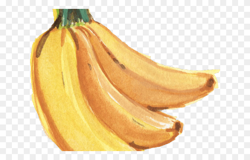 640x480 Banana Transparent Images Watercolor Banana, Plant, Food, Fruit HD PNG Download