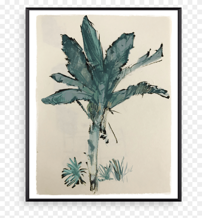 713x850 Banana Tree Rylander Co Visual Arts, Plant, Leaf, Canvas HD PNG Download