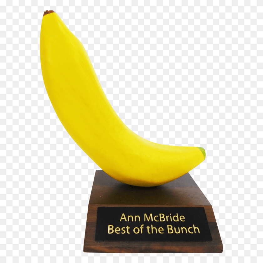 589x781 Banana Trophy Banana, Fruit, Plant, Food HD PNG Download