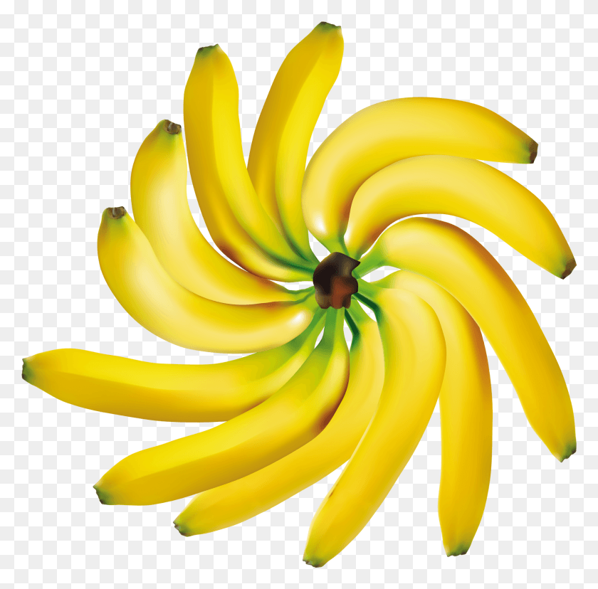 1806x1780 Bananas Decoration Clipart Fruit Sur Fond Transparent, Plant, Banana, Food HD PNG Download