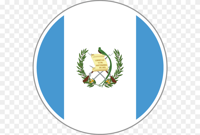 567x567 Bandera De Guatemala Actual, Herbal, Herbs, Plant, Leaf Sticker PNG