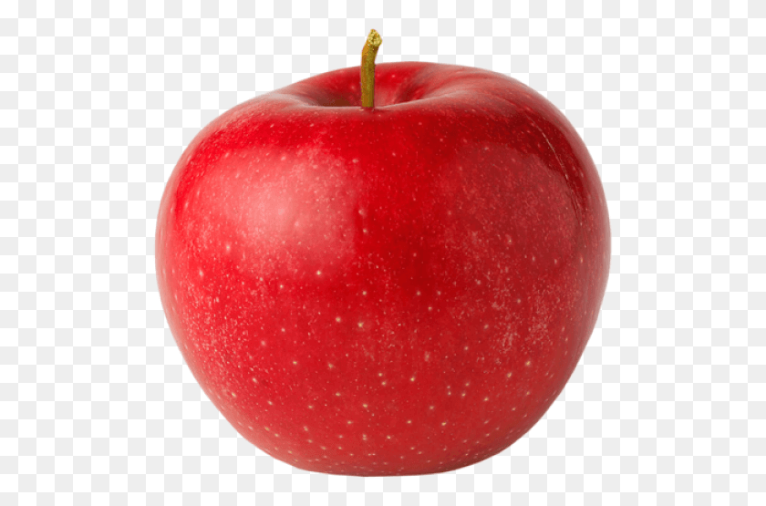 505x495 Bangladesh Apple Apfel, Fruit, Plant, Food HD PNG Download