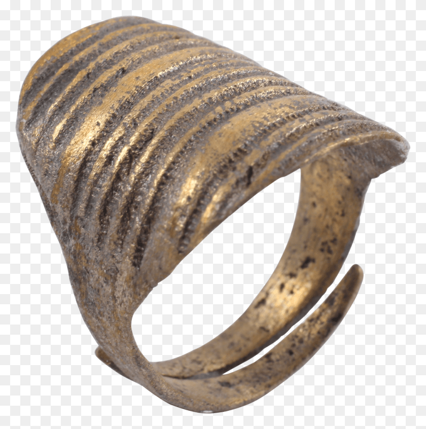 1015x1024 Bangle, Bronze, Accessories, Accessory HD PNG Download