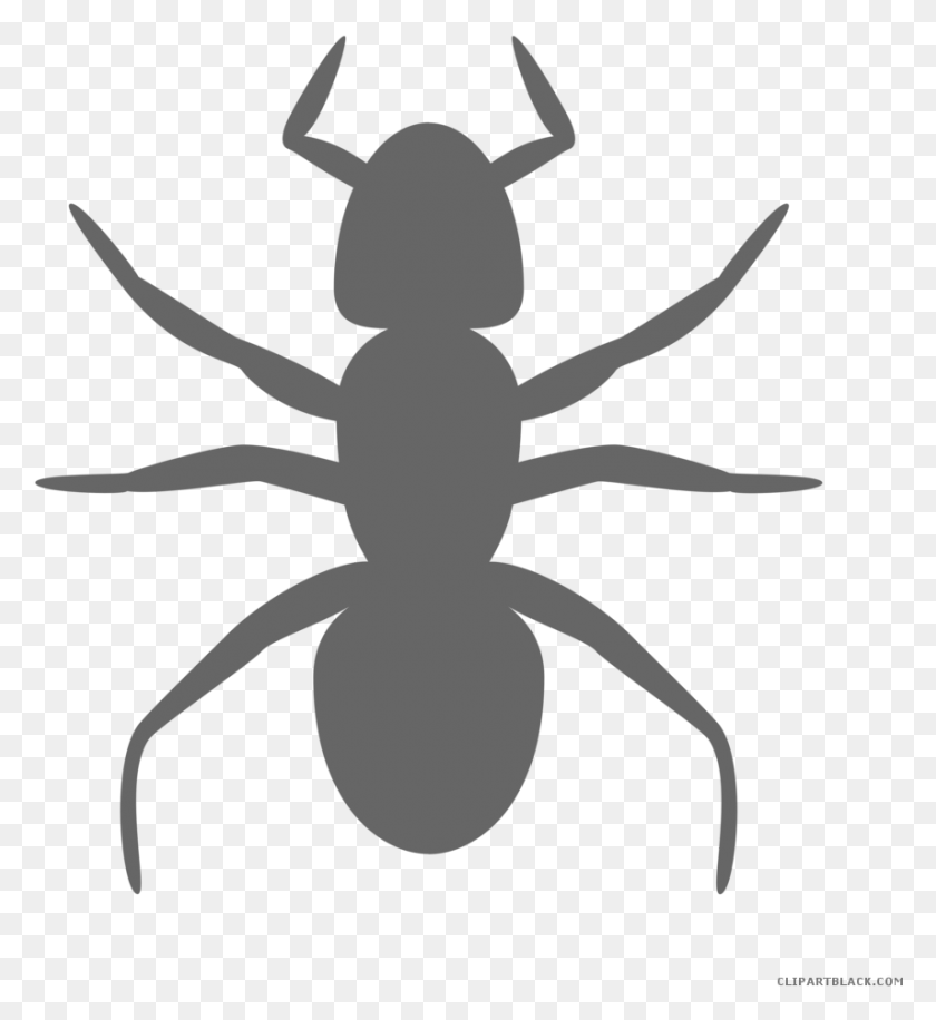 855x939 Banner Ant Clipart Black And White Silhouette Ant Clip Art, Cross, Symbol, Animal HD PNG Download
