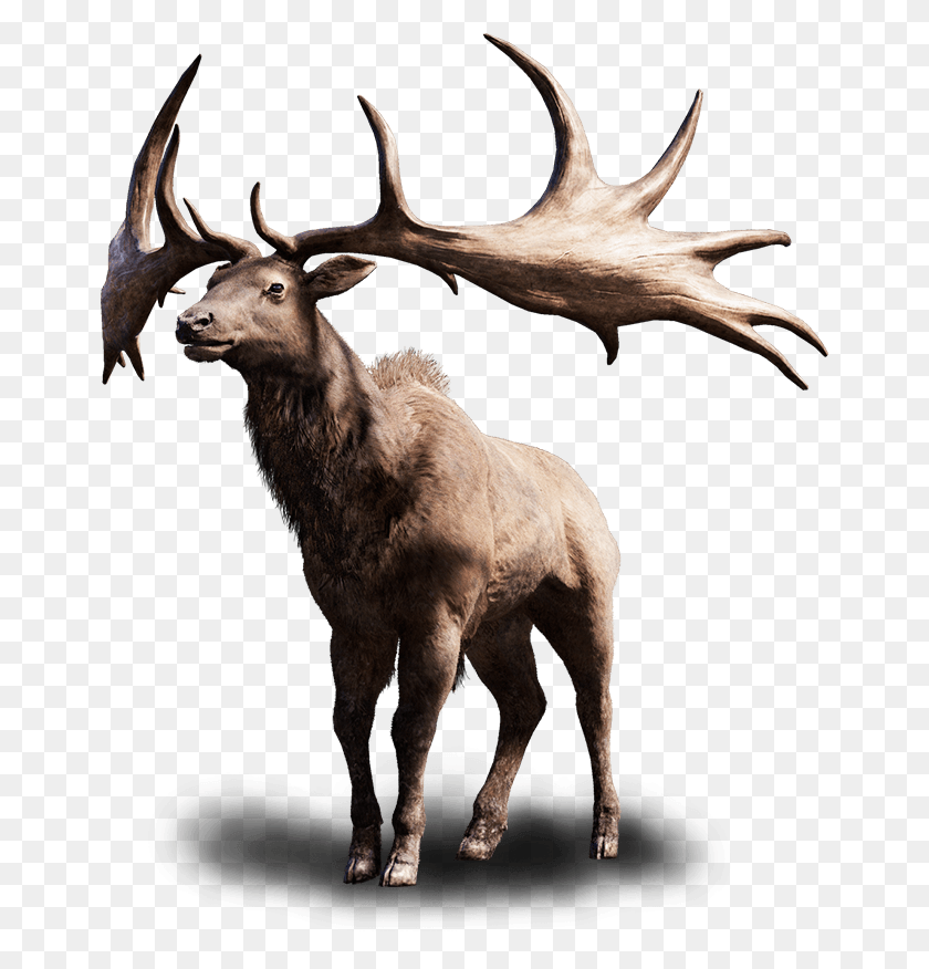 658x816 Banner Black And White Elk Far Cry Wiki Fandom Powered Far Cry Primal Megaloceros, Deer, Wildlife, Mammal HD PNG Download