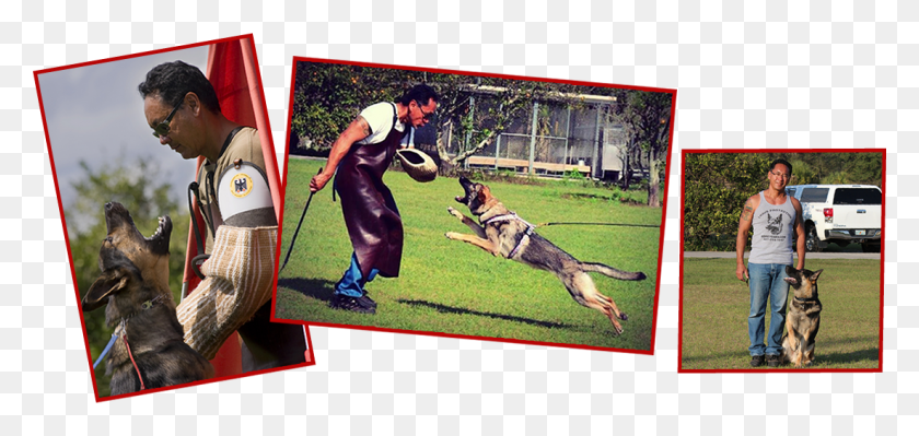 1102x480 Banner Dog Catches Something, Person, Human, Pet HD PNG Download